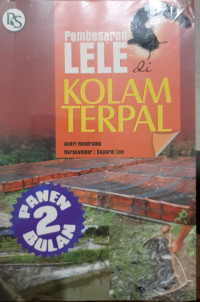 Pembesaran Lele di Kolam Terpal