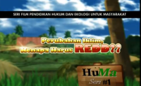 Video Kartun Edukasi Perubahan Iklim-REDD